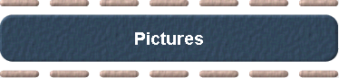  Pictures 